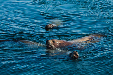 Similar image 2818792