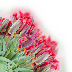 Similar image 2818960