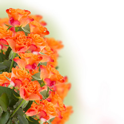 Similar image 2818962