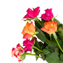 Similar image 2818974