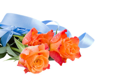 Similar image 2818982