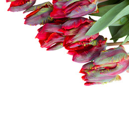 Similar image 2819004