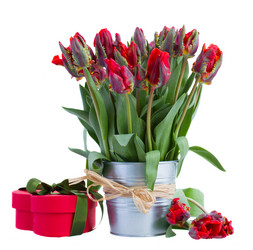 Similar image 2819012