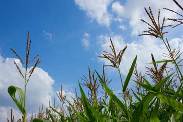 Similar image 2819021