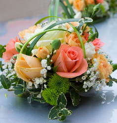 Similar image 2819024