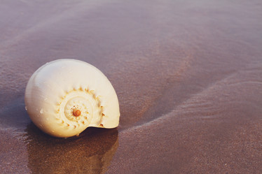 Similar image 2819032