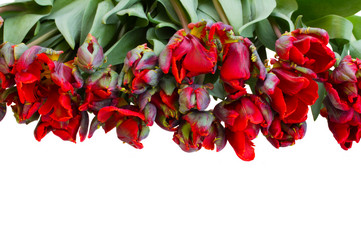 Similar image 2819108