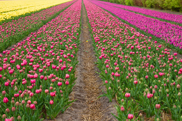 Similar image 2819115