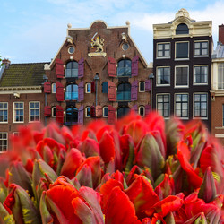 Similar image 2819129