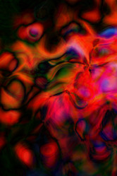 Similar image 2819269