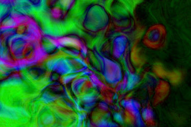 Similar image 2819384