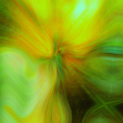 Similar image 2819948