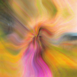 Similar image 2819956