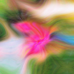 Similar image 2819959