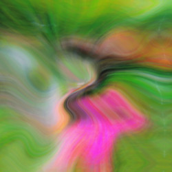 Similar image 2819972