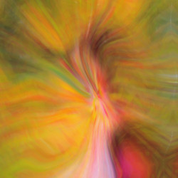 Similar image 2819988