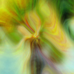 Similar image 2819994