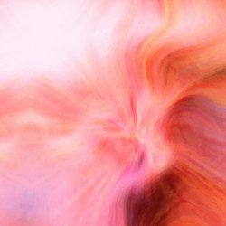 Similar image 2820105