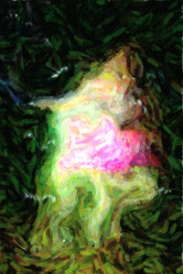 Similar image 2820278