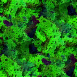 Similar image 2820466