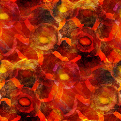 Similar image 2820486