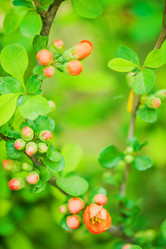 Similar image 2820683