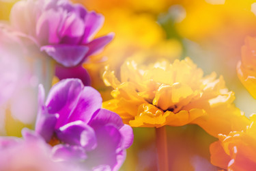 Similar image 2820686