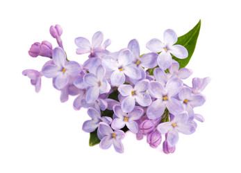 Similar image 2820899