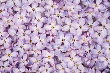 Similar image 2820900