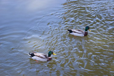 Similar image 2820982