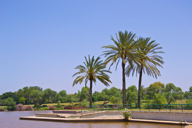 Similar image 2820984