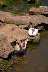 Similar image 2820990