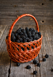 Similar image 2820997