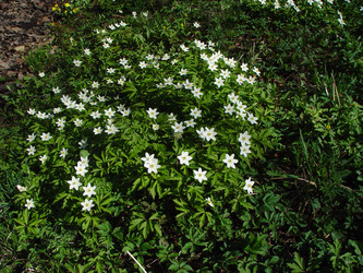 Similar image 2821069