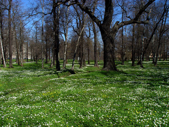 Similar image 2821071