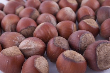 Similar image 2821073