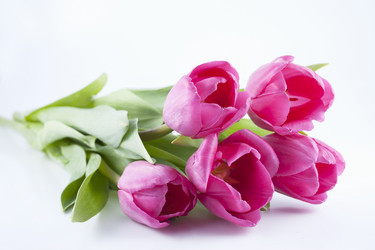 Similar image 2821081