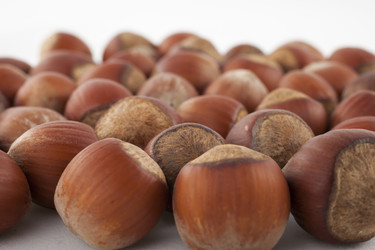 Similar image 2821084