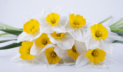 Similar image 2821087