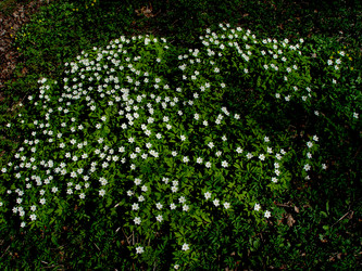 Similar image 2821132