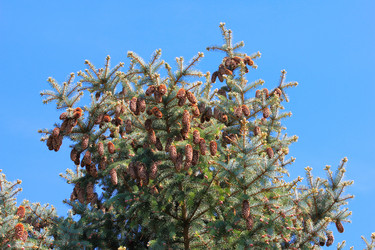 Similar image 2821134