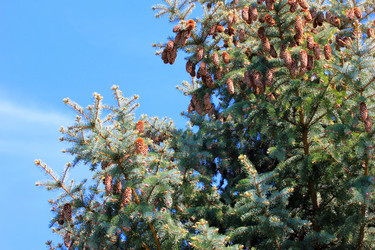 Similar image 2821135