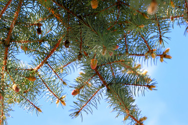 Similar image 2821137