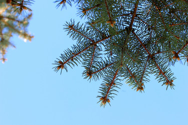 Similar image 2821138