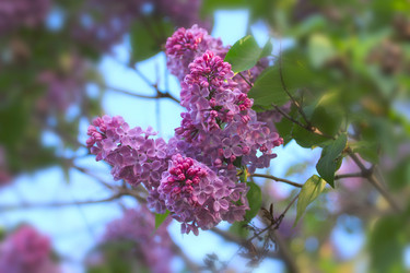 Similar image 2821141