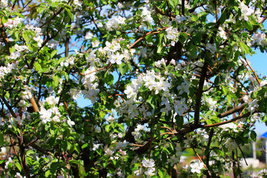 Similar image 2821154