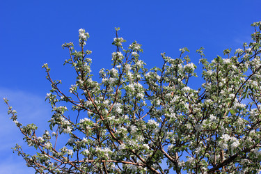 Similar image 2821155