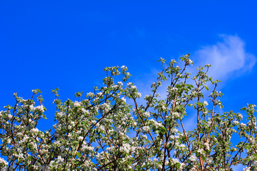 Similar image 2821156