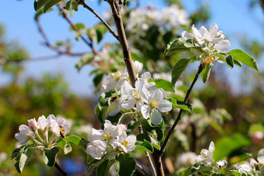 Similar image 2821157