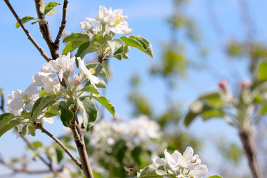 Similar image 2821158